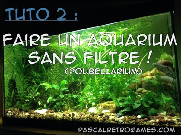 aquarium 1an sans filtre