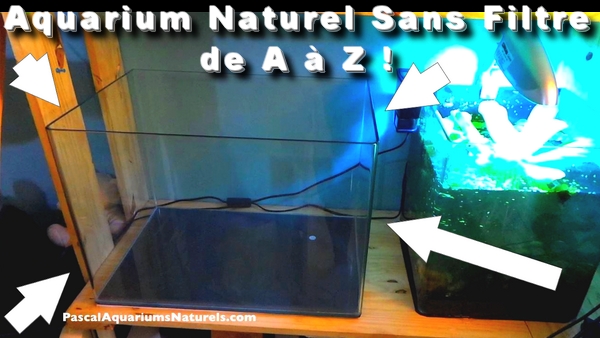 tuto nano aquarium naturel sans filtre !