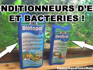biotopol denitrol JBL et autres conditionneurs d'eau et bactéries