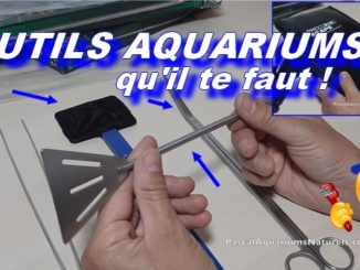 Les outils que tout aquariophile devrait selon moi avoir !