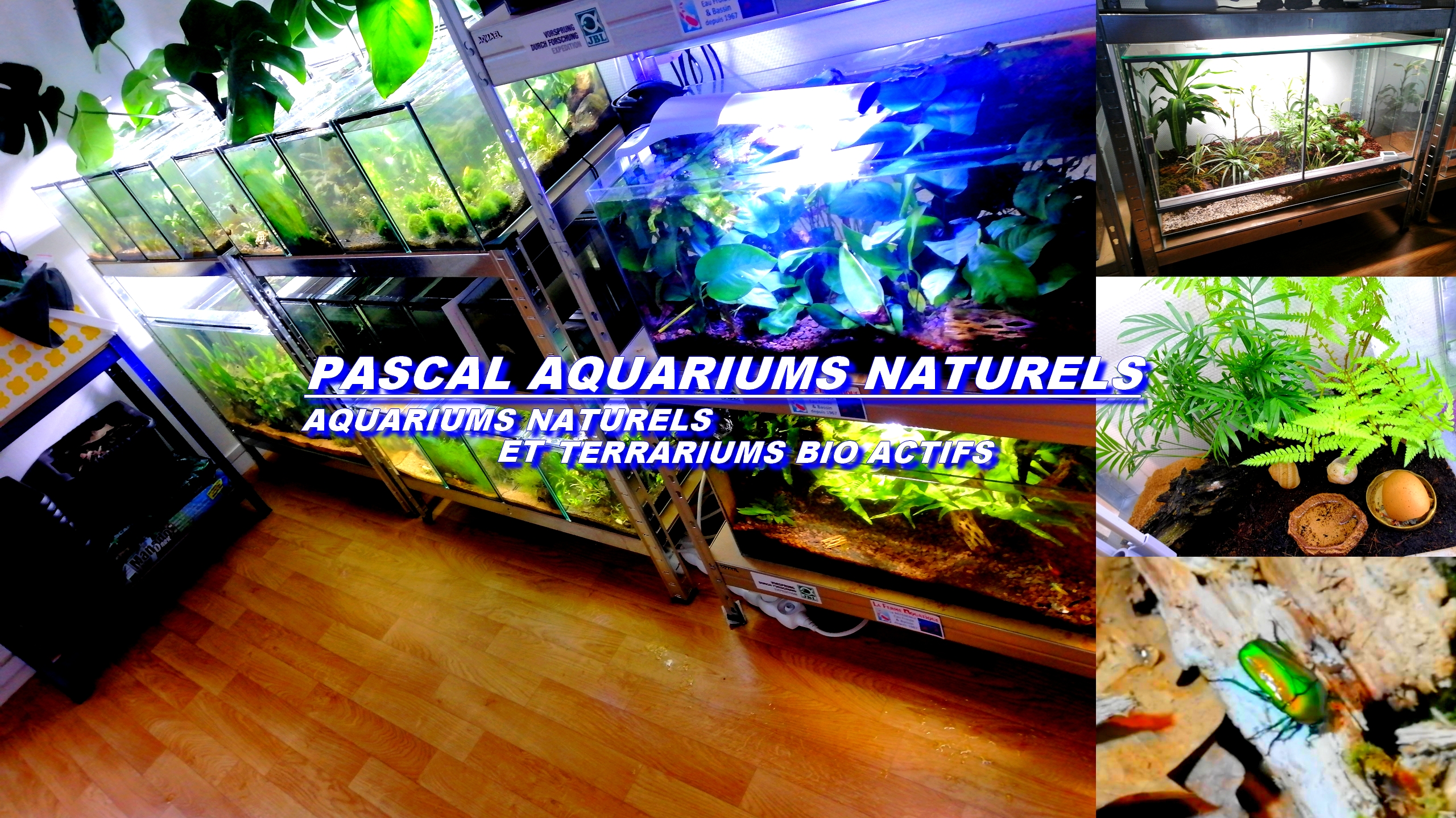 Pascal Aquarium Naturels