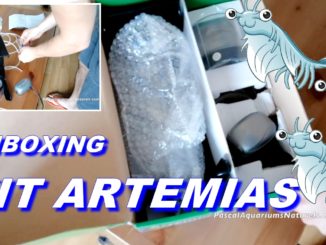 artemia unboxing kit