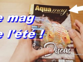 magazine aquarium aquamag