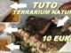 terrarium naturel (bio actif) à 10 euros