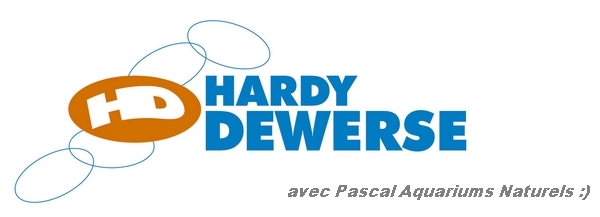 Hardy Dewerse, super jeu concours avec Pascal Aquariums Naturels :)
