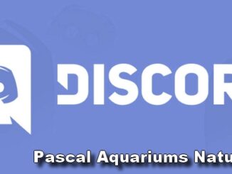 discord pascal aquariums naturels