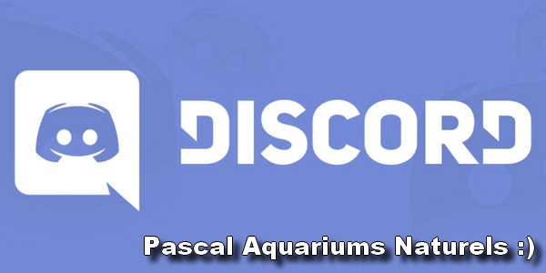 discord pascal aquariums naturels