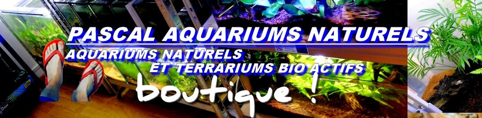 Boutique Pascal Aquariums Naturels