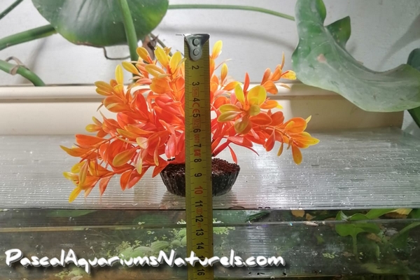 plante plastique aquarium / terrarium